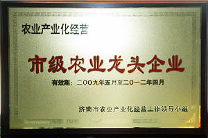 南宫NG·28(中国)相信品牌力量有限公司